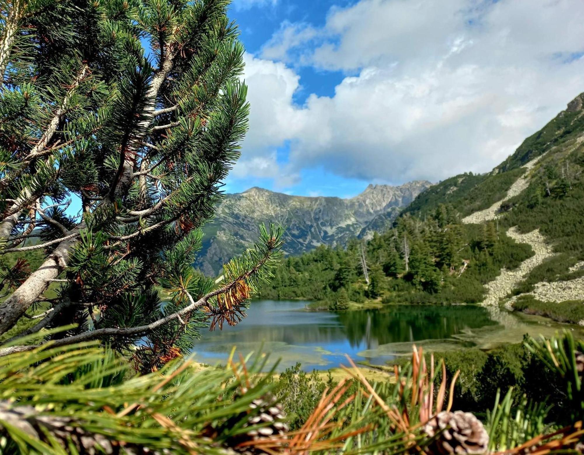 Alpine Lodge Bansko Apartments 외부 사진