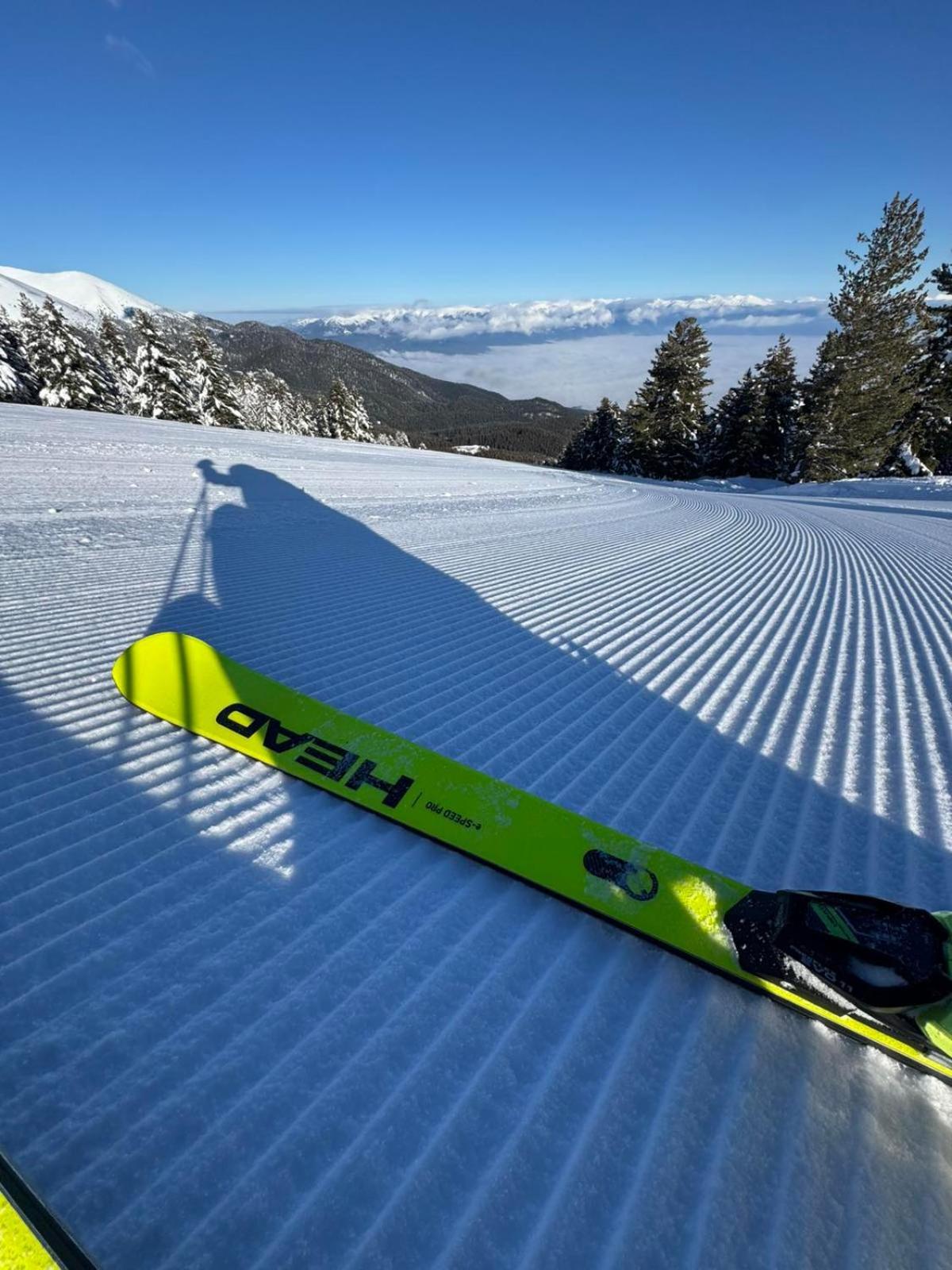 Alpine Lodge Bansko Apartments 외부 사진